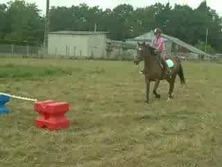 magnifique sauts de Waly 2