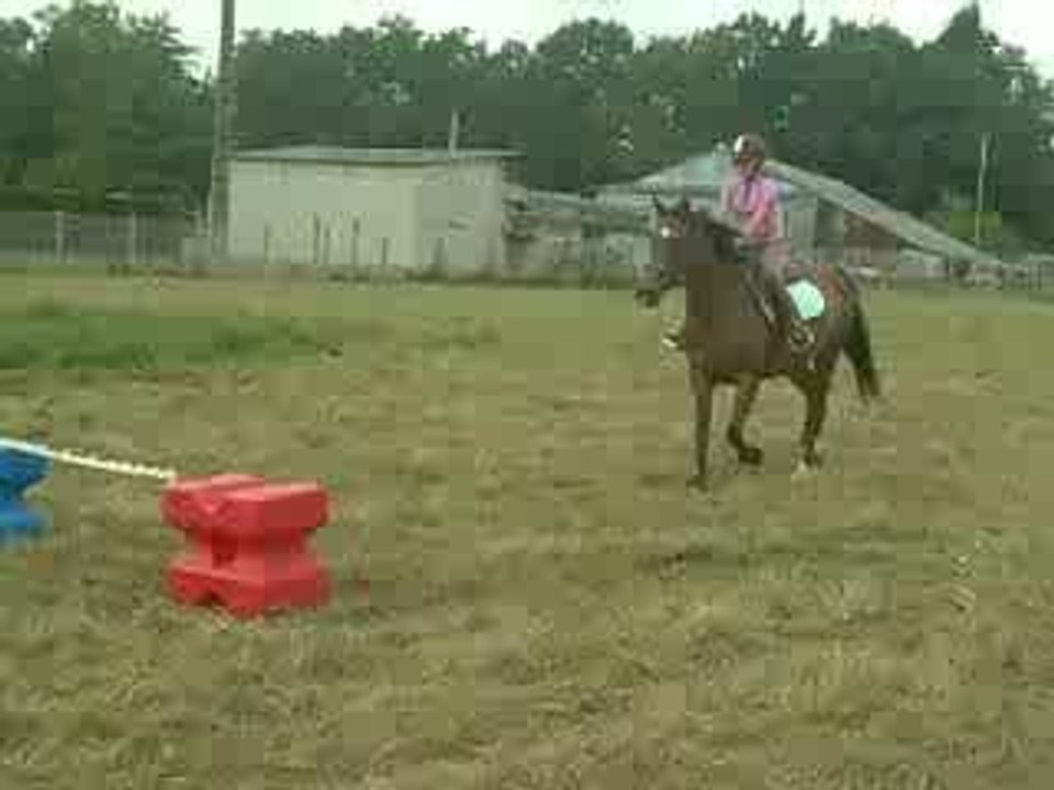 magnifique sauts de Waly 2