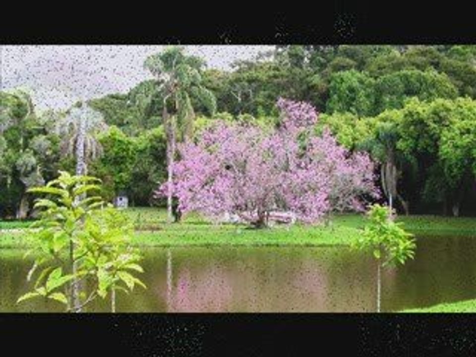 Brasilidade  musique instrumentale, compositeur Paulo Newton