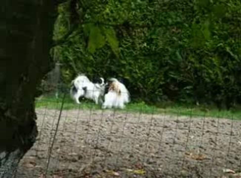 ILs cherchent un coin tranquille