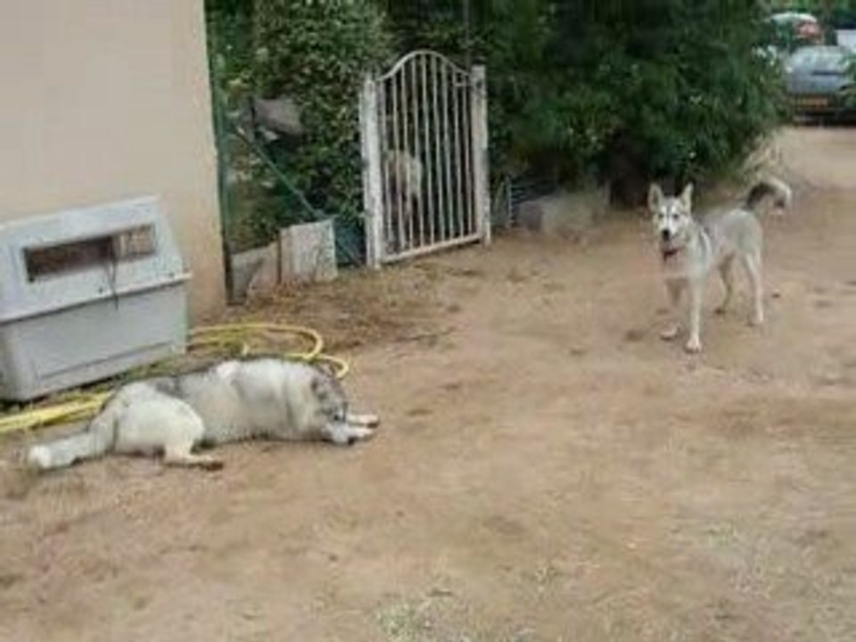 les jeux de Délyna et Cheyenne