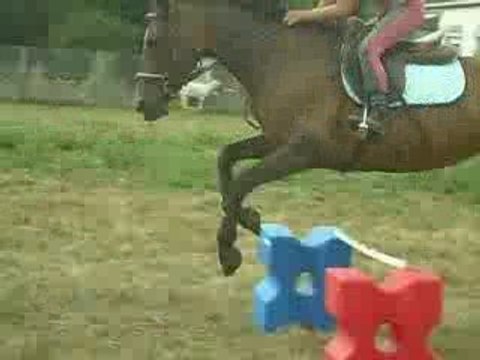 sauts de Waly chérie