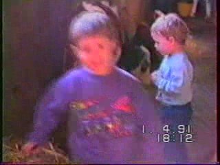 Stephane Frederic et les vaches