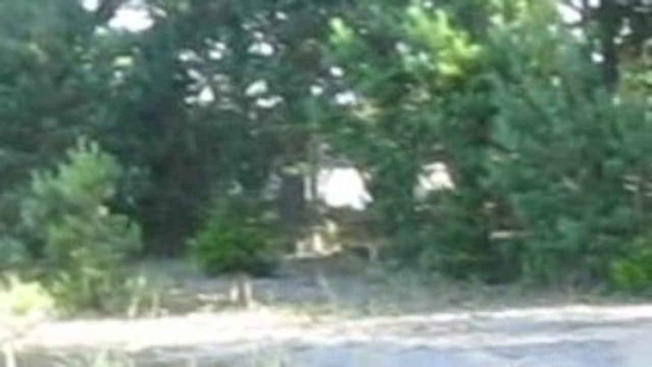 SUDAK AVIM  23.8.2009 003