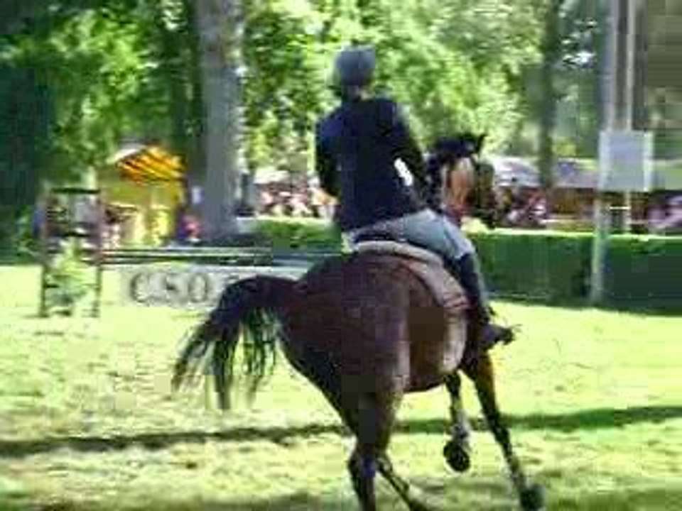 CSO souillac _ 1m Djinn