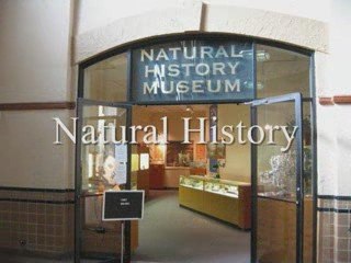 Relocate to Ogden Utah