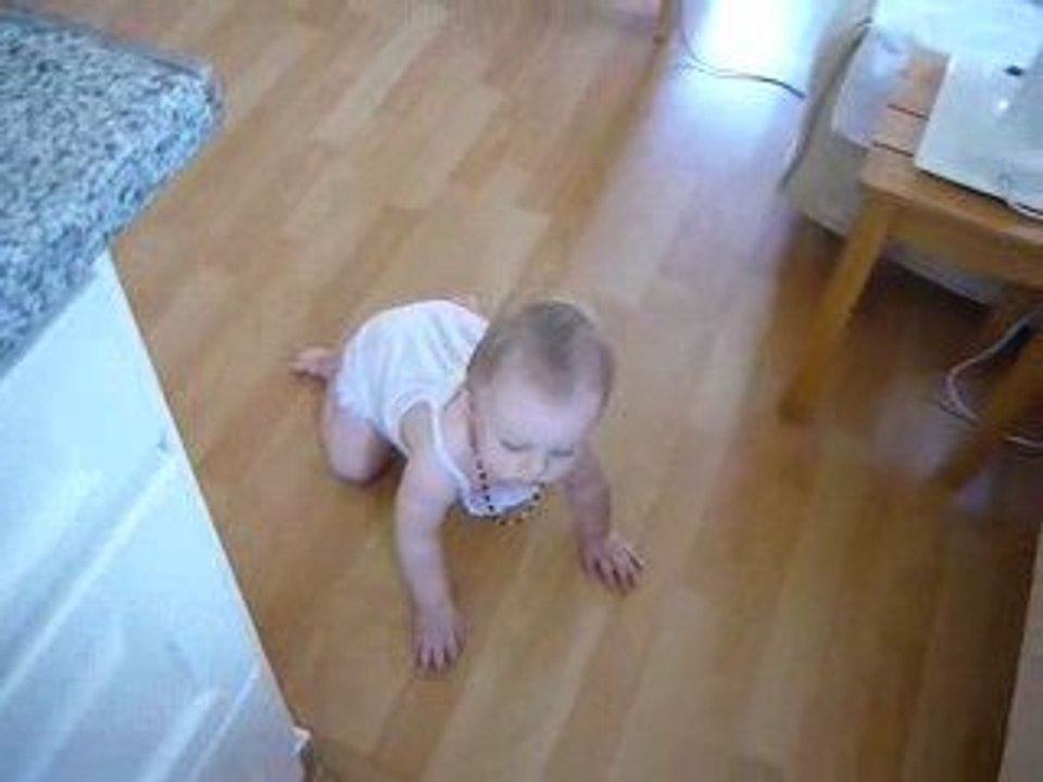 4 pattes 18 août 2009