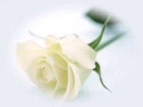 BEZ CIEBIE ZYCIE BOLI