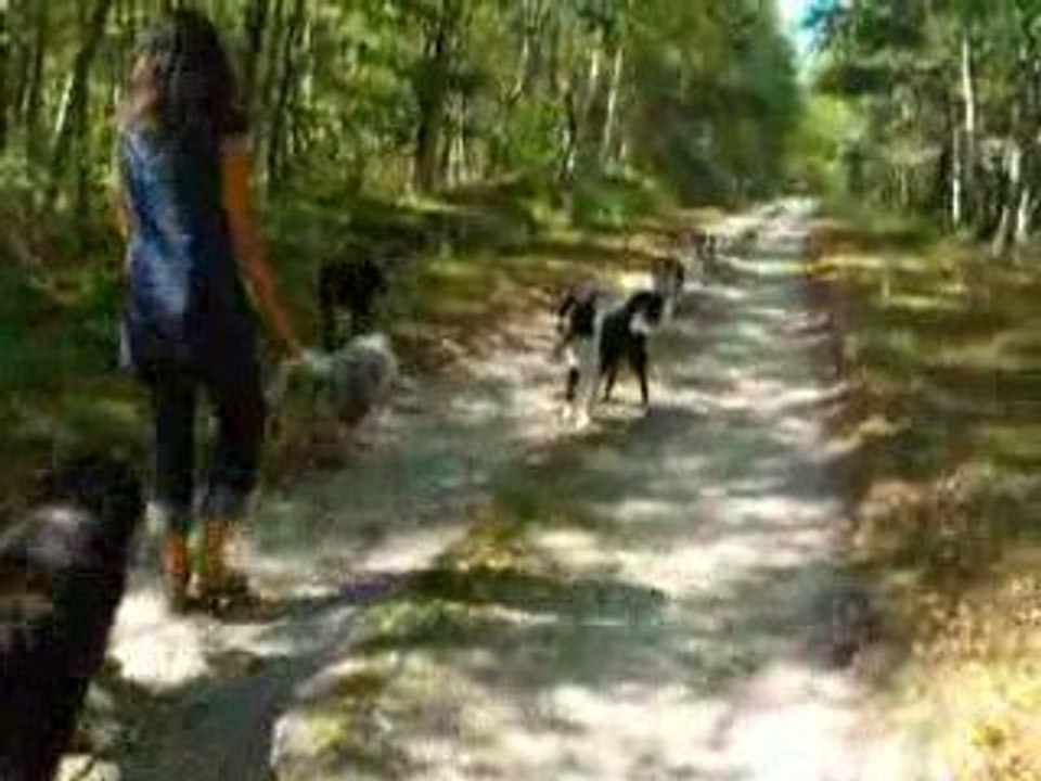 Promenade d'été 2, aout 2009