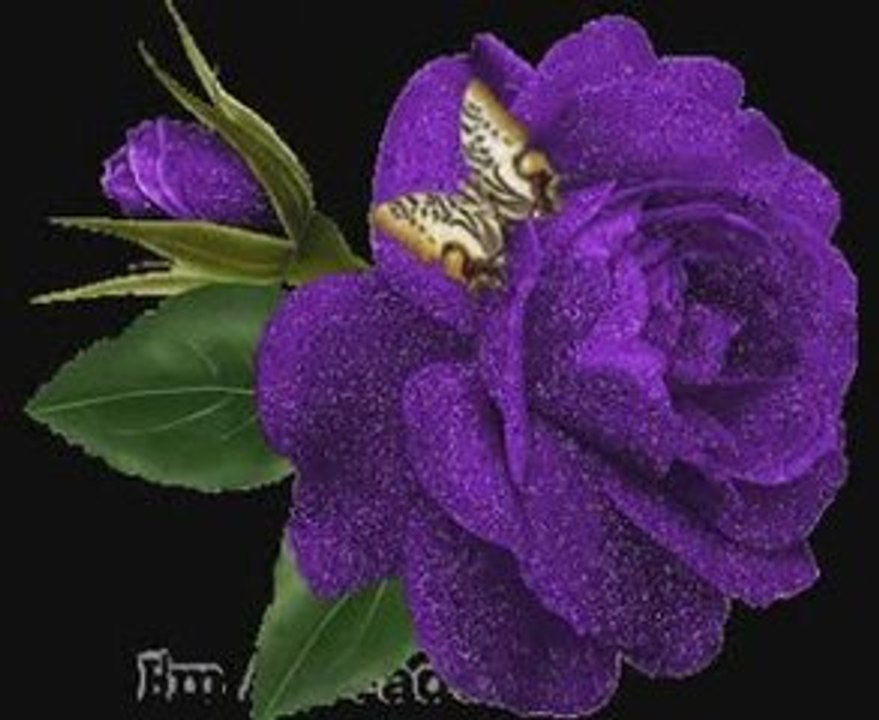 ferdi tayfur-hayırsız