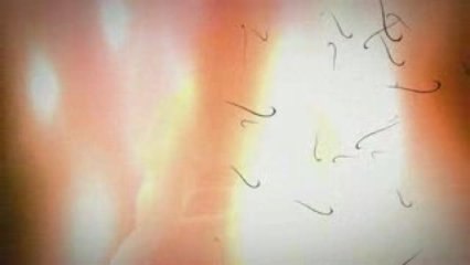 World Of Warcraft - Cataclysm