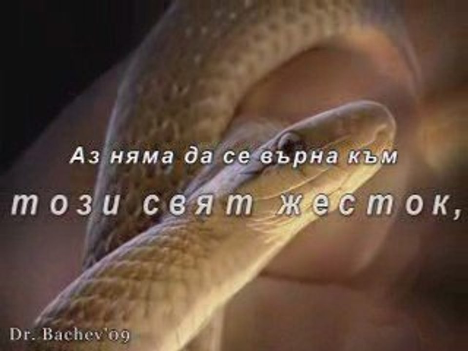 Halmat na liubovta