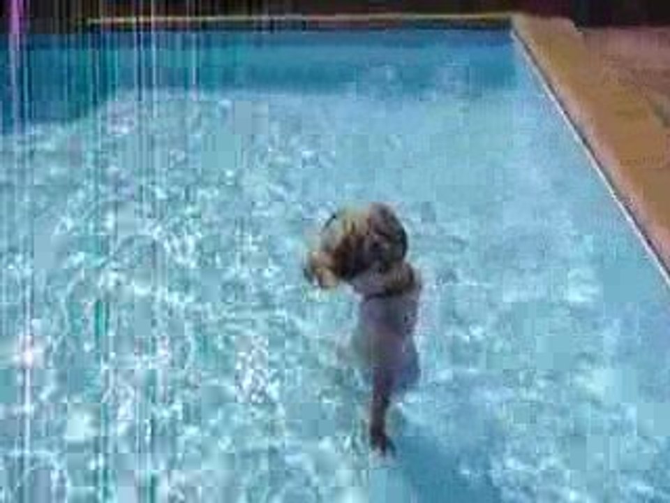 Trop bien la piscine du camping !