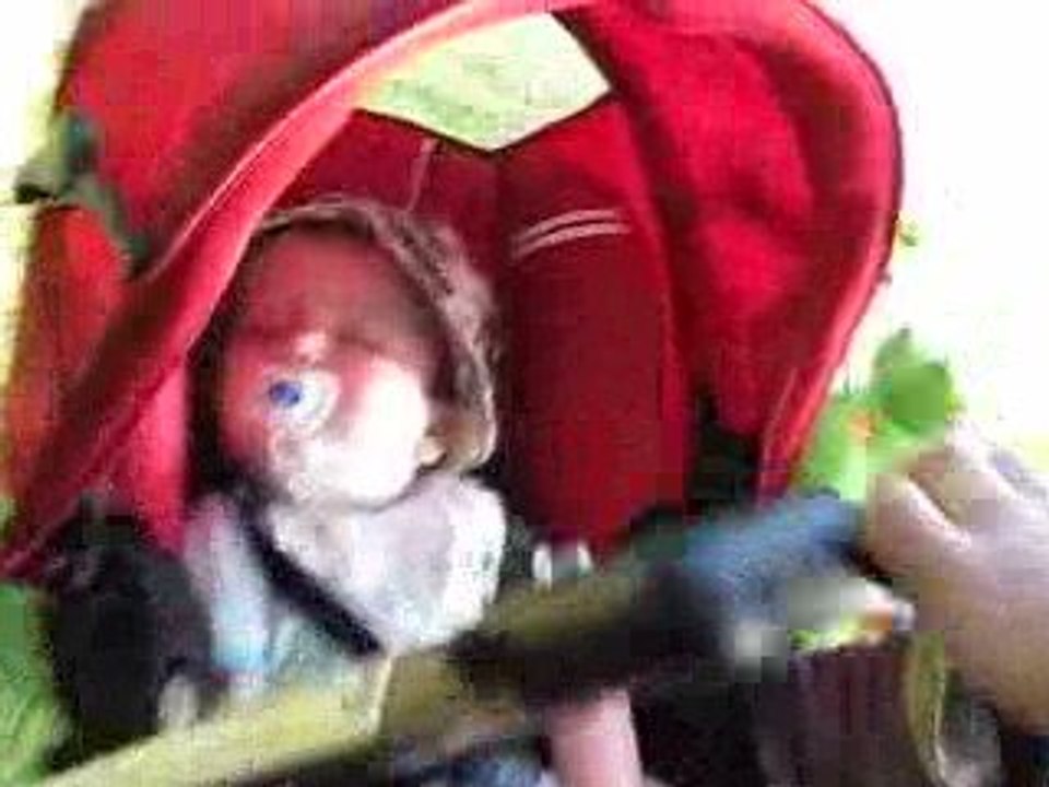 Ballade en poussette dans les sous-bois