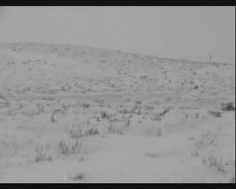 Ancient Tundra  ~  I Walk Through Vast White Fields...