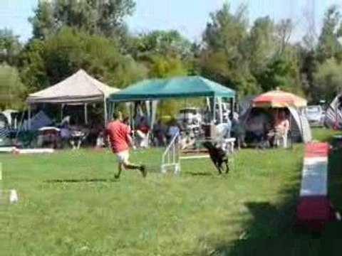 23/08/2009 (3) Concours d'Agility