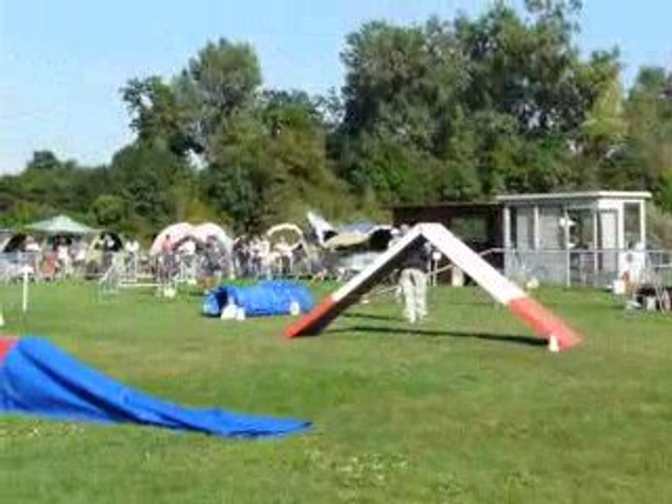 23/08/2009 (4) Concours d'Agility