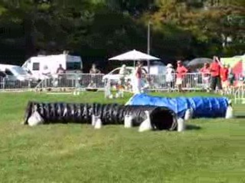 23/08/2009 (5) Concours d'Agility
