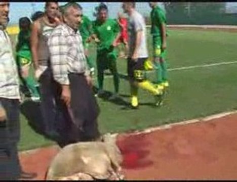 Darıca Gençler Birliği Sezon Açılışı