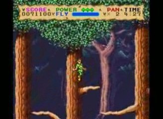 Adventure in the Neverland Forest