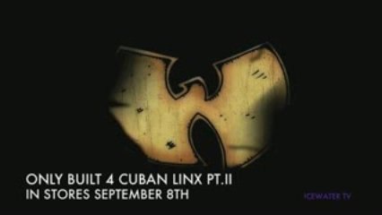 Raekwon - House of Flying Daggers (Teaser) / NEW