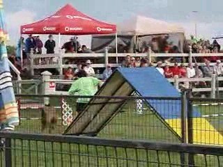 Gabbro et Linda finale steeplechase National 2009 AAC