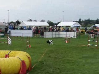 Tamy gambler National 2009 AAC