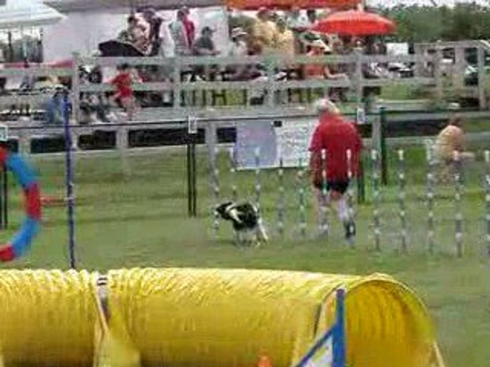 Tamy steeplechase 2 National 2009