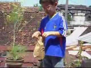 que fait jules question divx 3Mo