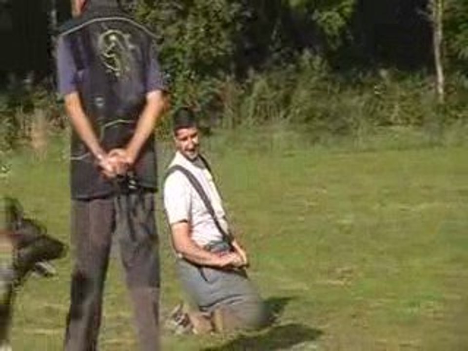 commentaires de vivi