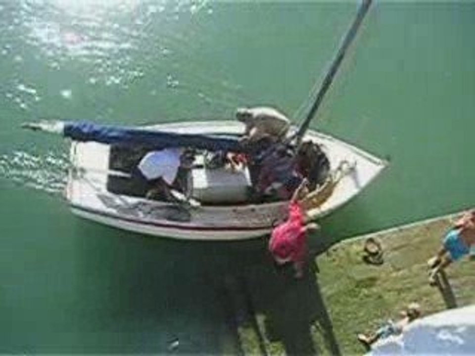 été 2009 zik: SKOLVAN