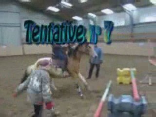 Chute de cheval bétisier