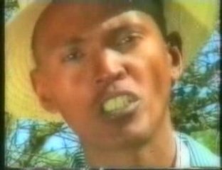 Telo fangady -Gasikara I