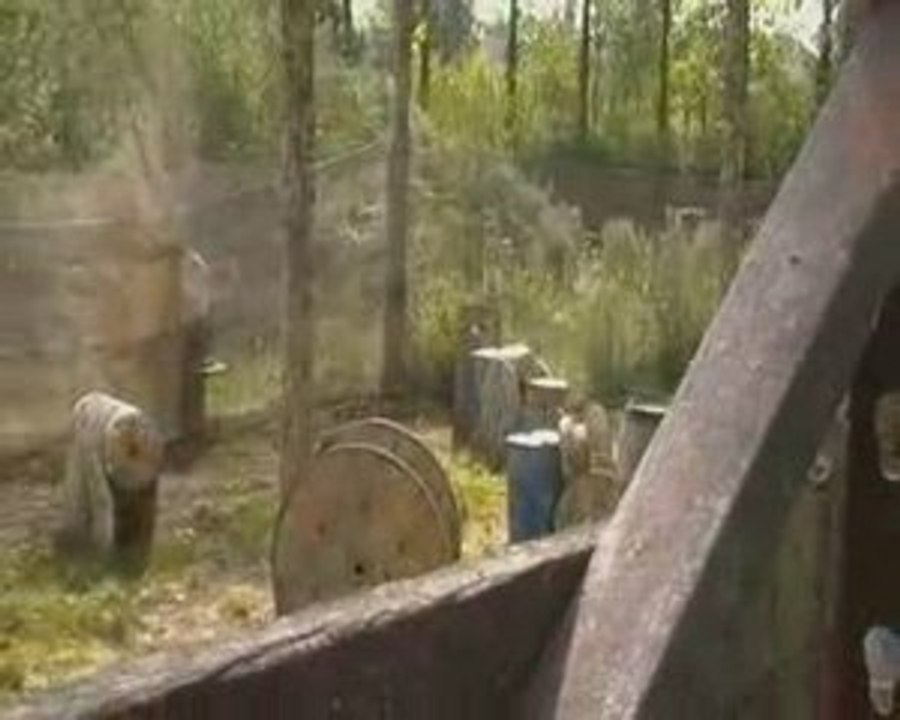 paintball dechy