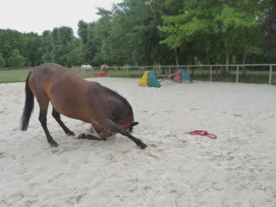 révérences de Razièle, 4 ans