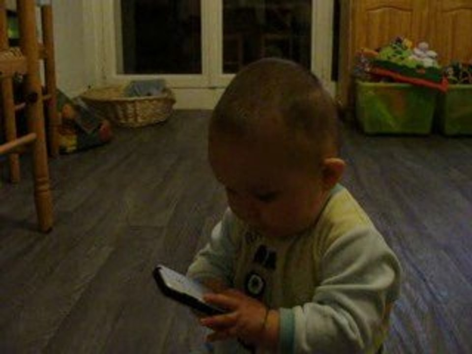 Je 4 pattes partout !