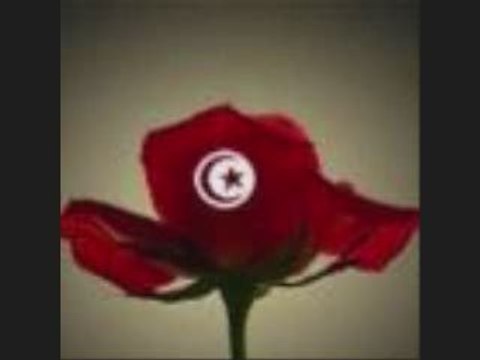 mezoued jaw tounsi bizerte menzel abderrahmen venissieux