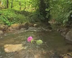 la-ballade-des-cailloux