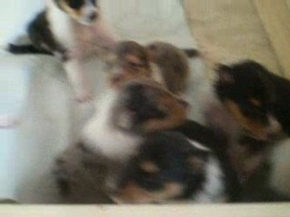 on a faim! (bonne video)