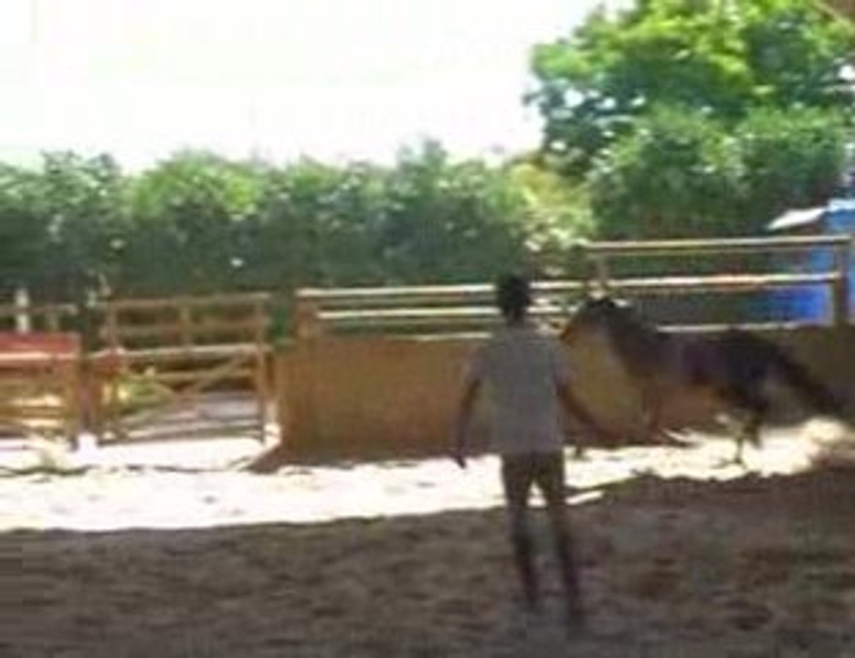 Renomée0809