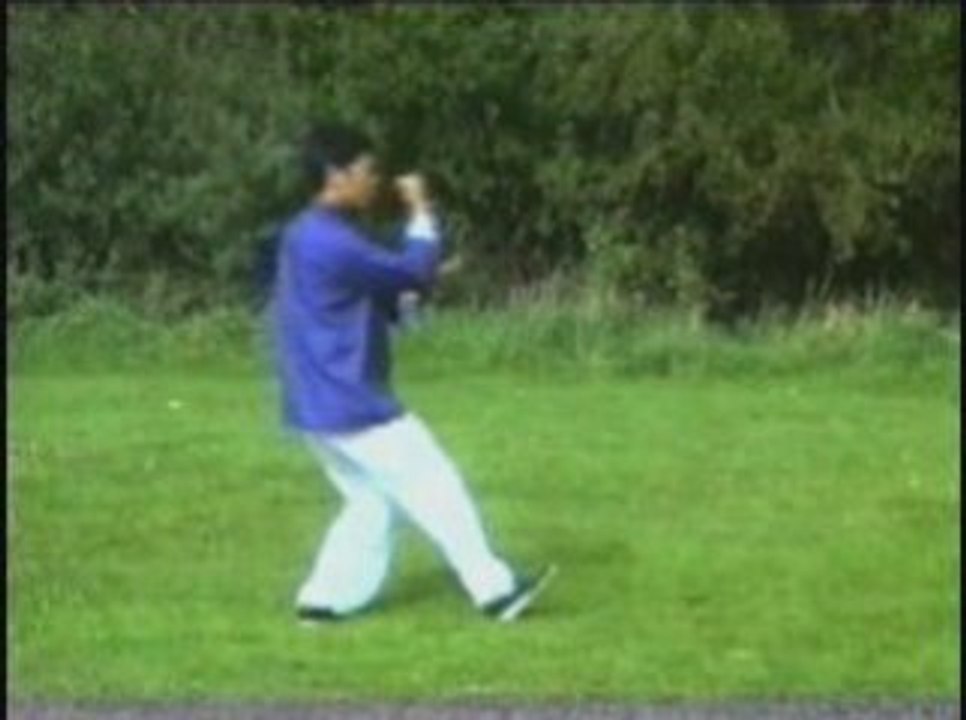 Yang Style Tai Chi Chuan - 3rd Section