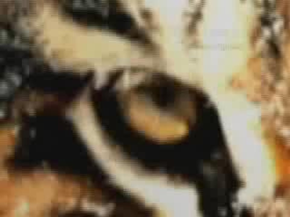 Hapkido Défense contre couteau