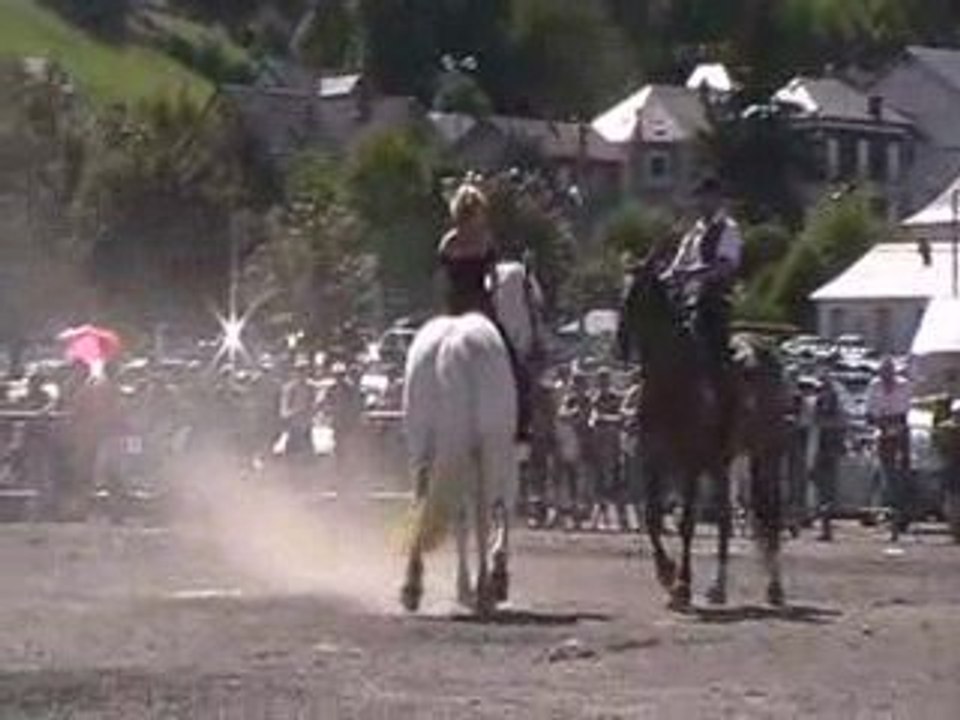 spectacle equestre le plus beau tango du monde