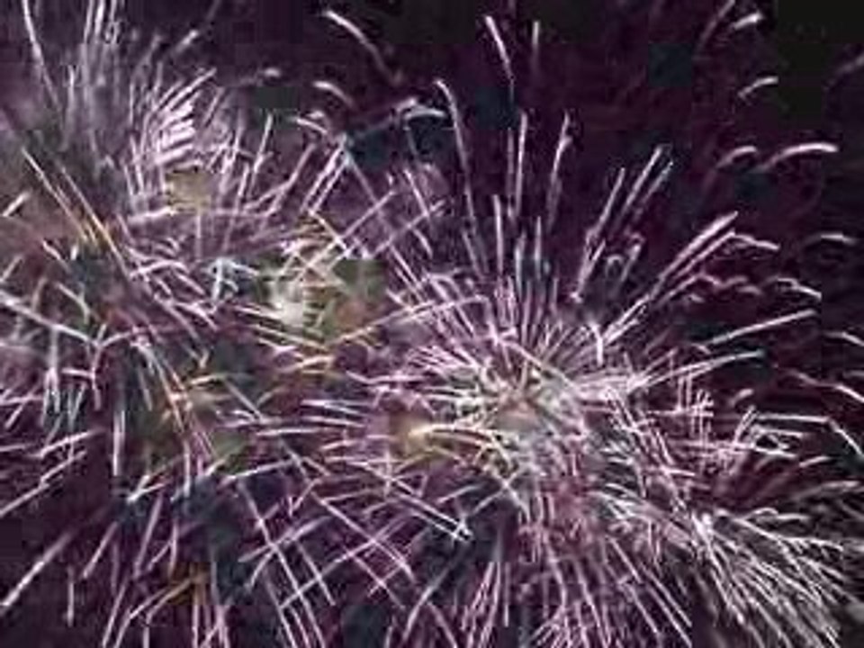 Le feu de Monteux 2009