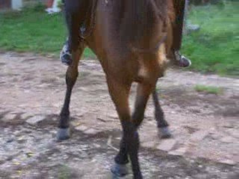 mélo cru