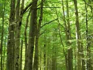 ¿COMO ESTAIS AMIGOS?