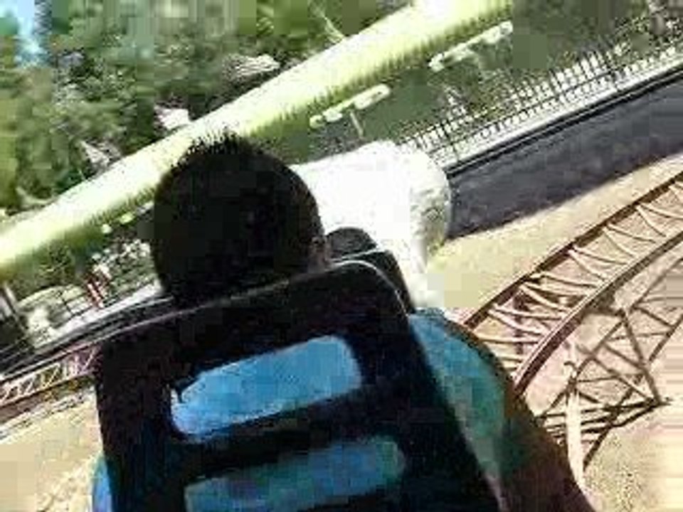 cobra bon
