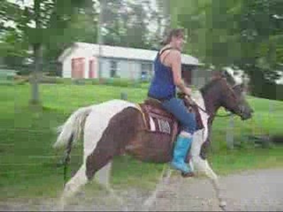 Montage Jessica et son cheval