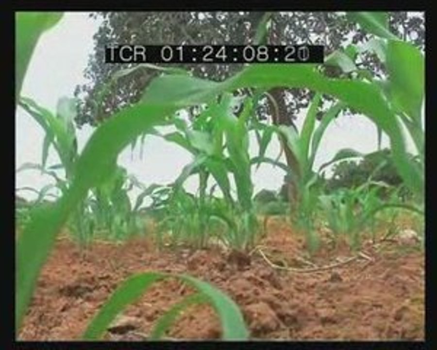 Interview dans un village