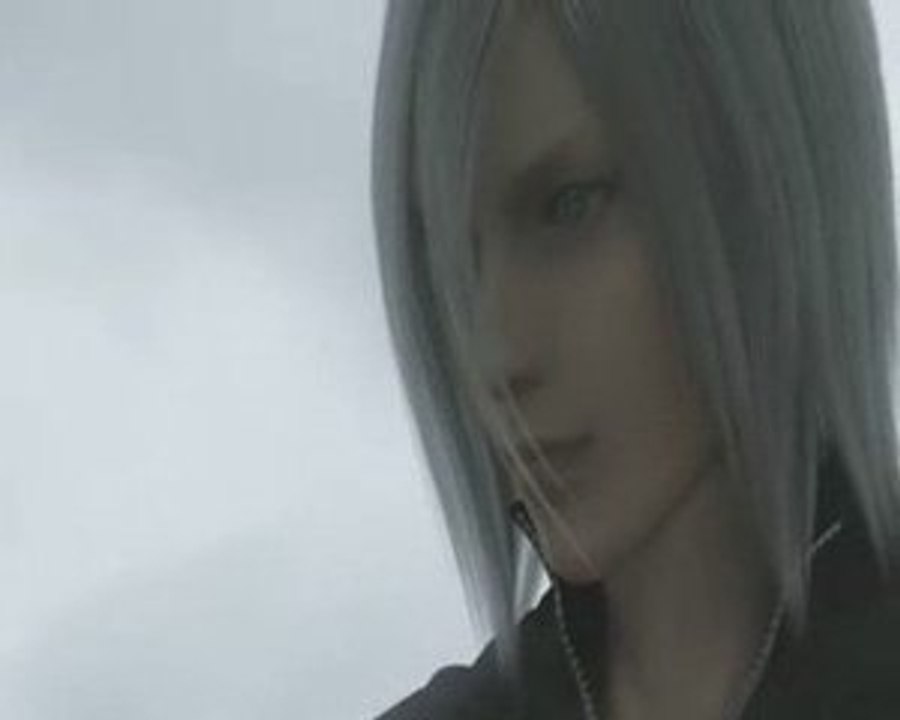 Casting "Je collection des canards" entre parenthèse vivant!